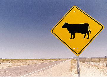 突变元年开发商新作《迷瘴纪事》上架Steam 支持中文